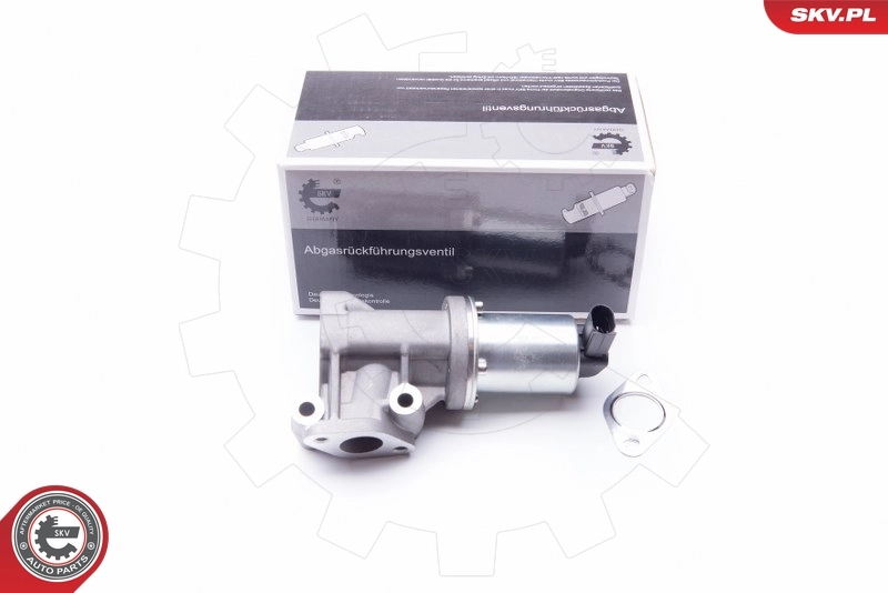 EGR Valve